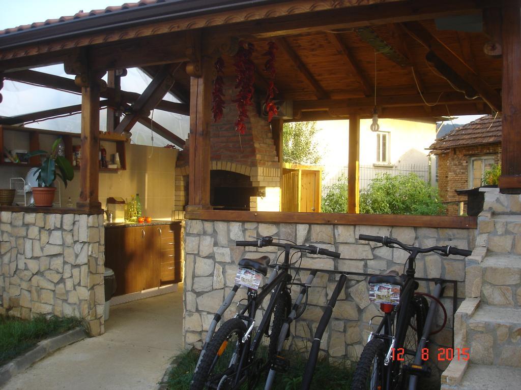 Guest House Camellia Berkovitsa Eksteriør billede